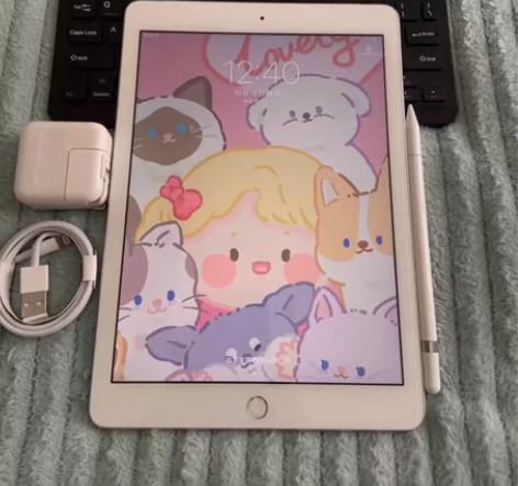 带配件一起出iPad 2018款128g正...
