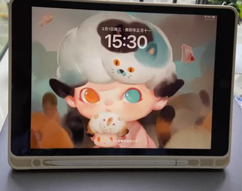 Apple/苹果 10.2 英寸 iPad...