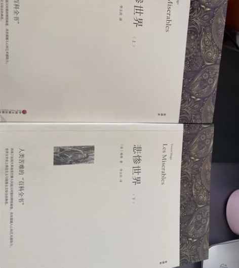 《悲惨世界》上下两册 当当69.9买入 看...