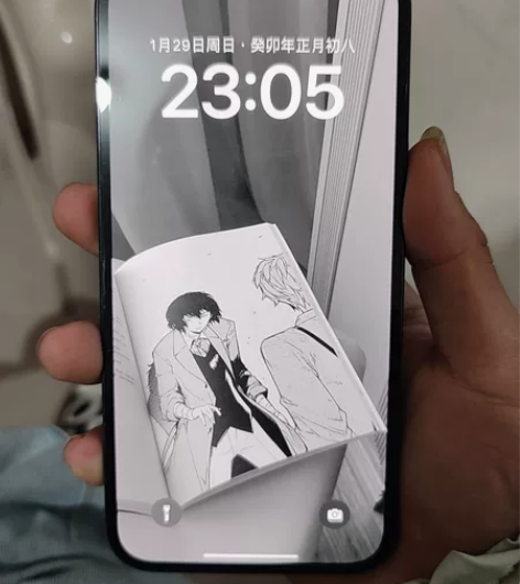 iPhone 12 Pro Max 98新...