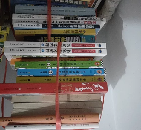 【当当网 正版书籍】译文纪实系列·老后破产...