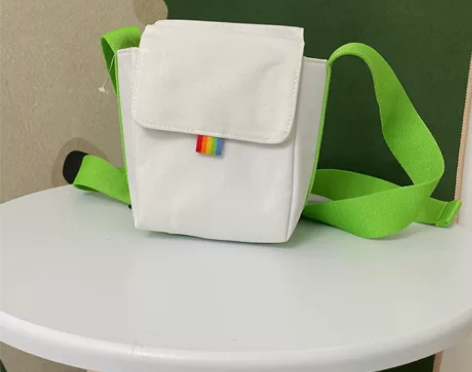 宝丽来肩包，可以装宝丽来相机，宝丽来now...