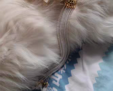 软簪 可加主体 感兴趣的话点“我想要”和我...