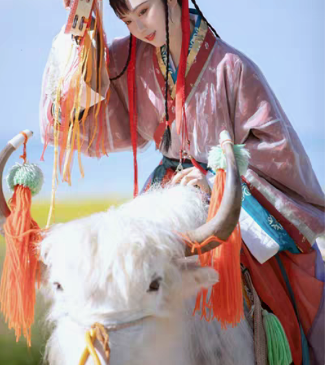 【汉服】司南阁少卿女款L码晋襦秋冬款雪景故...