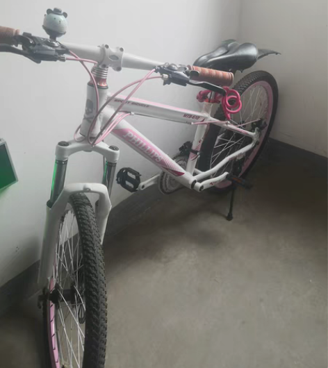 24自行车，孩子上学，新旧看图，自提 感兴...