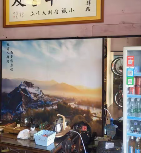 二手自行车，DIY 折叠车，山地车，公路车...