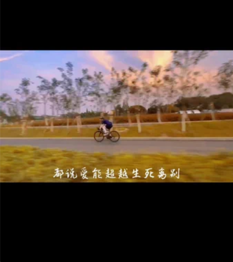 Java vesuvio 公路自行车 48...