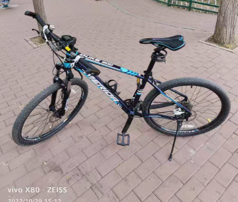 美利达公爵600，DUKE600，18年长...