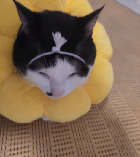 包邮出满100半包满150包邮 火焰戎装亲...