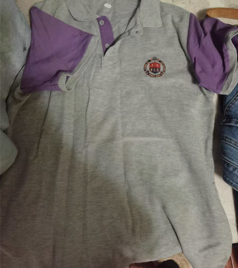 成都嘉祥外国语学校初中校服，运动服，衬衫，...