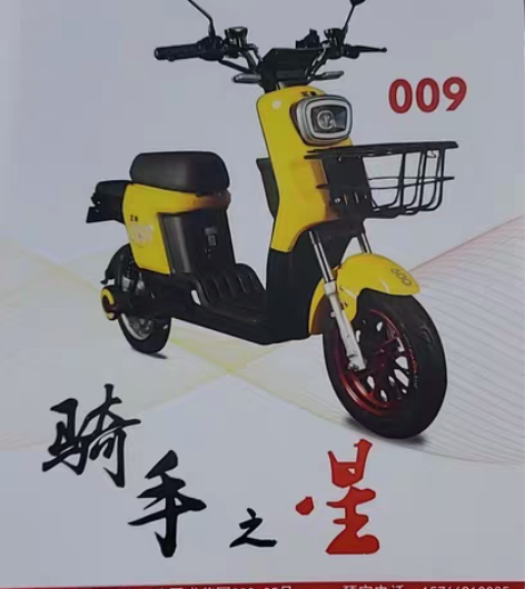 五羊009五代最正宗的新国标009，防短路...