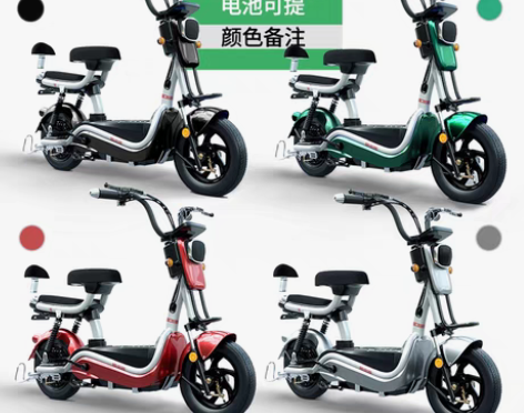 转卖新国标电动自行车锂电池电动车长跑王电瓶...