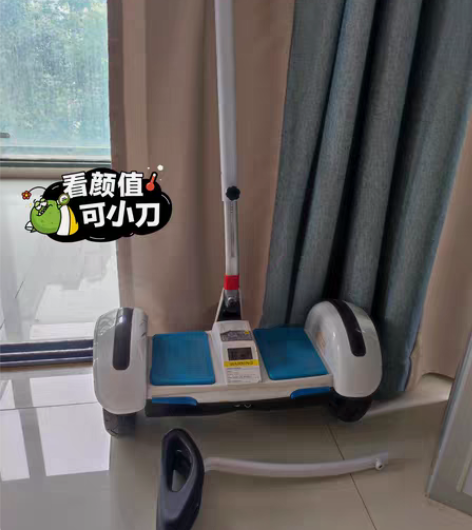 阿尔郎电动平衡车，原价1500多，就小孩在...