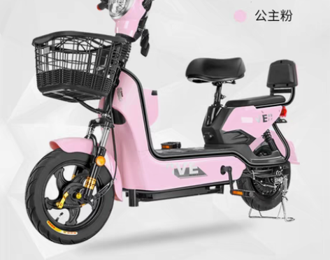 转卖思帝诺新国标48V新款电动车电动自行车...