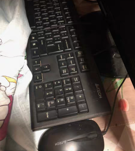 双飞燕WKM-1000针光防水光电套 黑色...