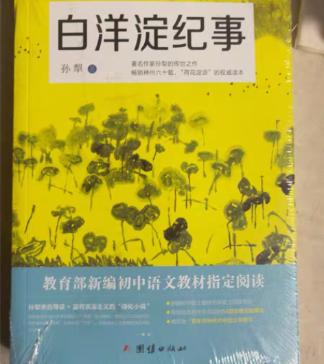 白洋淀纪事 中小学生课外阅读书籍 全新 未...