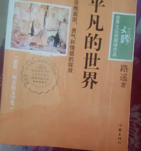 全册 《平凡的世界》 《悲惨世界》 几乎全...