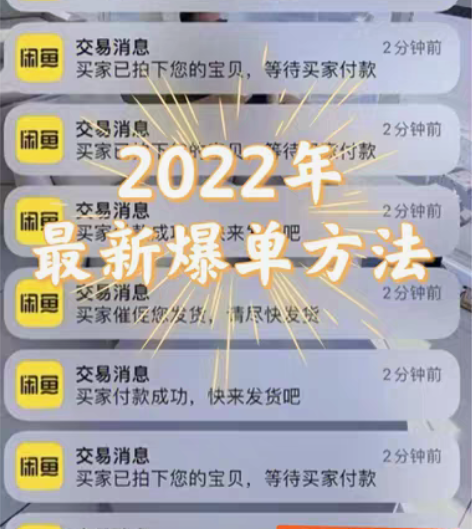 包邮#双11闲置急出 10元全套教程咸鱼运...