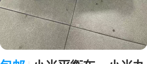 包邮小米平衡车，小米九号平衡车！买来只玩过...