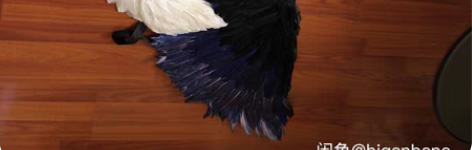 包邮新版小乔天鹅之梦cos道具 【已售出展...