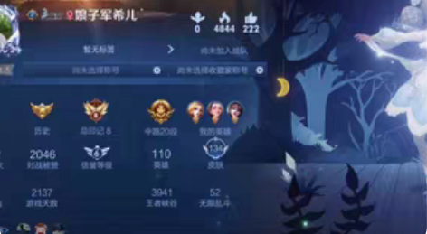 包邮#游戏帐号#荣耀典藏天鹅之梦 热情桑巴...