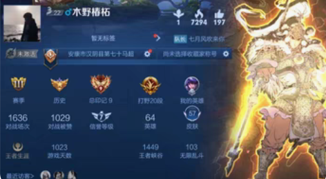 包邮王者荣耀赠送新皮肤马超神威冰封战神朱雀...