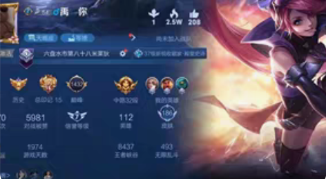 王者荣耀安卓区 杀手不太冷 伽罗太华 一念...