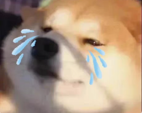 收王者女号 卡天鹅 紫瑶  游龙清影  大...