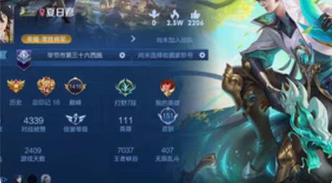 法师辅助号 适合女孩子 貂蝉的新皮肤跟按键...