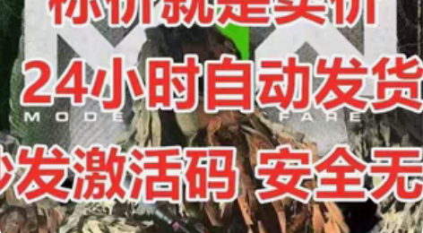 使命召唤19 COD19  吉利服 大脚怪...