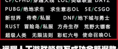 远程维修电脑、在线重装系统纯净版、重装做系...