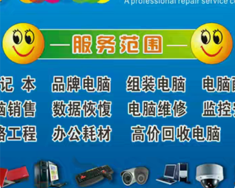 本地台式笔记本，电脑维护维修。装系统，维修...