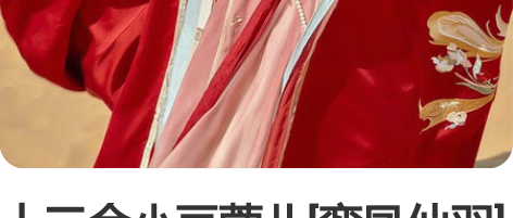 十三余小豆蔻儿[鸾凤仙羽]直领披袄对襟齐胸...