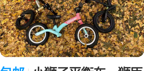 包邮小狮子平衡车，狮臣纪滑步车儿童平衡车 ...