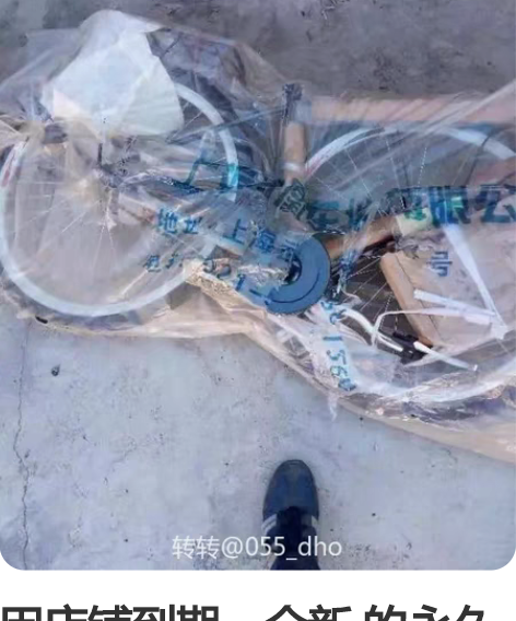 因店铺到期,全新 的永久和凤凰牌自行车处理...