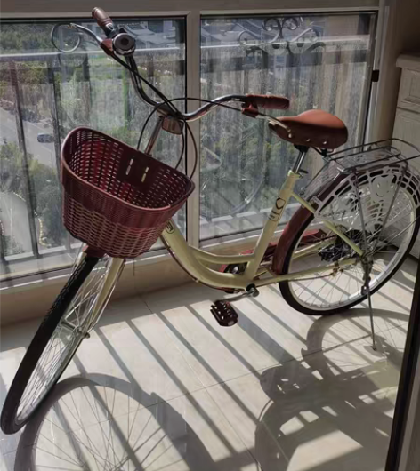 永久26寸女士自行车,顶配6档变速,全新仅...