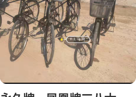 永久牌、凤凰牌二八大杠、正常使用成色一流！...