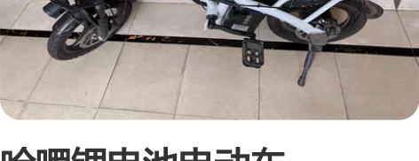 哈啰锂电池电动车 48V20AH，官方续航...