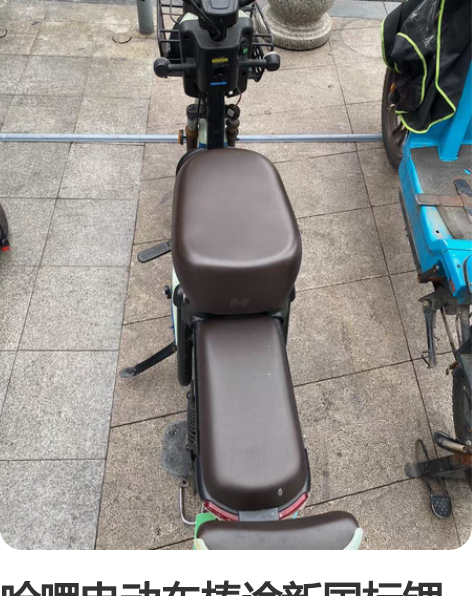 哈啰电动车棒途新国标锂电池电动自行车电瓶车...