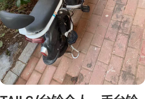 TAILG/台铃个人一手台铃电动车~电池4...