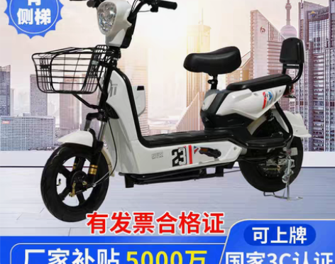 转卖轻功电动车成人电动自行车高速电瓶车电车...