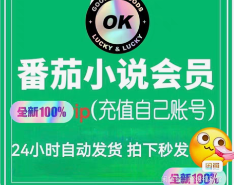 番茄小说会员+360天VIP会元 无广告免...