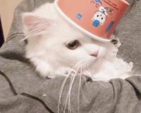 steam代挂 游戏时长 一月五元 指游戏...