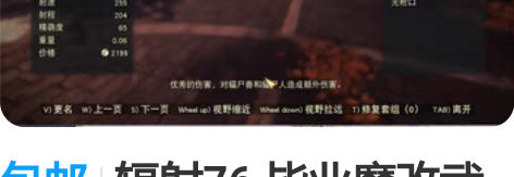 包邮辐射76 毕业魔改武器 染挥速减鸡柳激...