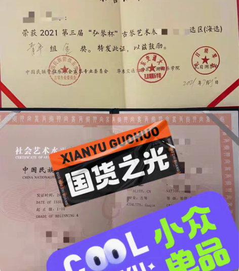 古琴入门教学 具有多年教学经验 一对一和大...