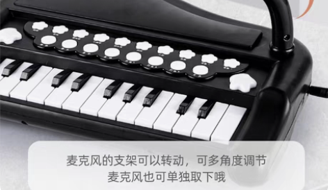 出口网红儿童小朋友益智启蒙音乐玩具乐器电子...