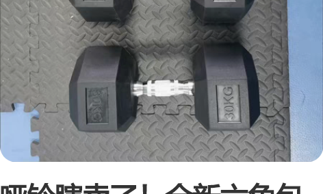 哑铃瞎卖了！全新六角包胶哑铃男士六角哑铃纯...