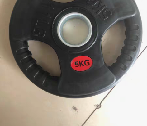 商业家用大孔包胶铸铁片5kg4片大孔孔径5...