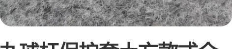 九球杆保护套土方款式全新 也可以根据你的需...
