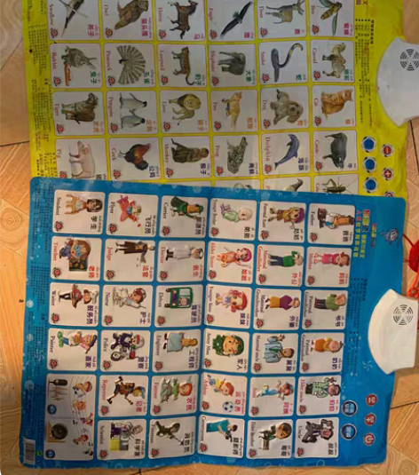 纽奇玩具挂图认知卡 完好无损  4张一起2...